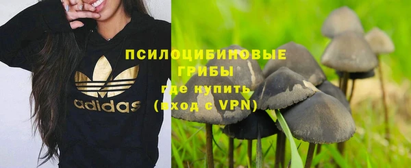 стаф Бронницы