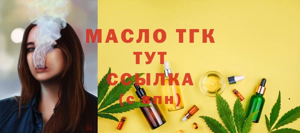 амф Бородино