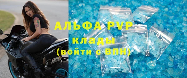 амф Бородино