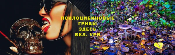 амф Бородино