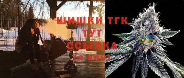 амф Бородино