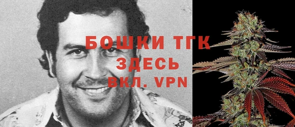 амф Бородино