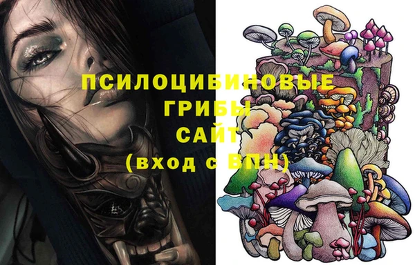 амф Бородино