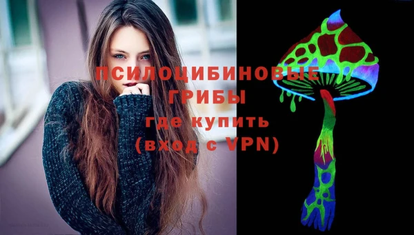 амф Бородино