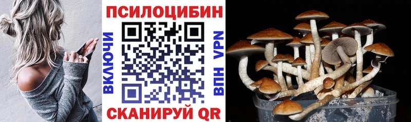 Псилоцибиновые грибы GOLDEN TEACHER  Ковров 